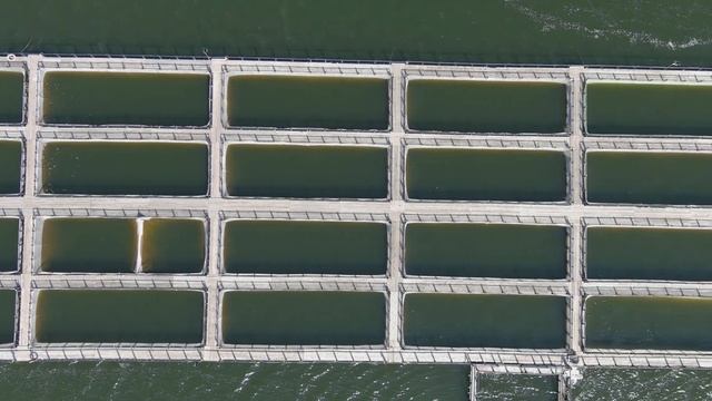 Осетровая ферма "Дон Батюшка" производства АО "РиФ" | ССРЗ АО РИФ смотреть онлайн