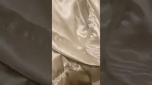 Satin jacket