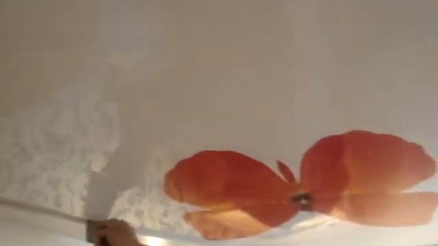 натяжные потолки мариуполь фотопечать 0983206600 бабочки смотреть онлайн