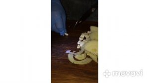 Маринованная свекла за 5 минут ! На зиму лучший рецепт ?? #свекла #назиму