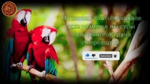 утренний дуа. дуа каждое утро. дуа благословение дома.