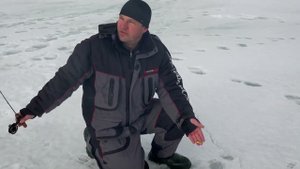 Ловля судака по последнему льду