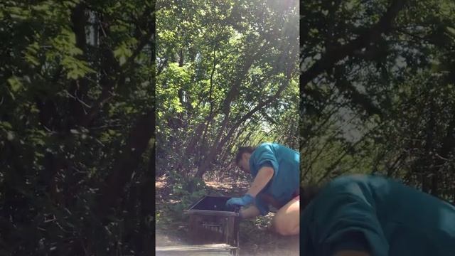 ЧИСТКА КОПТИЛКИ / СУПЕР СРЕДСТВО смотреть онлайн