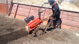 мотоблок ока Brigs Stratton. посадка картофеля