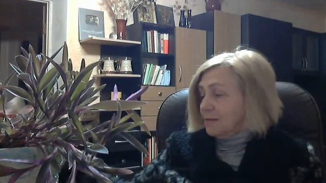 Удобрения для растений. Что можно использовать?!