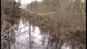 озеро Сельдинское. Пермский край,Соликамский район.