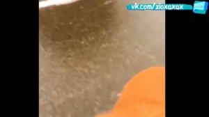 ●ПОШЛЫЕ ПРИКОЛЫ 18 и Другие● Приколы 18 плюс пошлые 2017, Приколы для взрослых 1