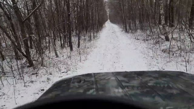 СРАЗУ ТРИ ЛОСЯ#РАБОТА МОЛОДЫХ ЛАЕК ПО ЛОСЮ# смотреть онлайн