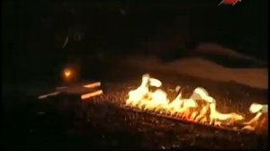 Садовое искусство 21 века №7