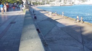 Смотри!. Ялта - обзор набережной, прогулка по берегу