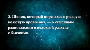 К чему снится раненая собака - Онлайн Сонник Эксперт