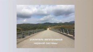 усилитель вегетативной нервной системы/sub#саблиминал