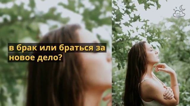 К чему снятся абрикосы смотреть онлайн