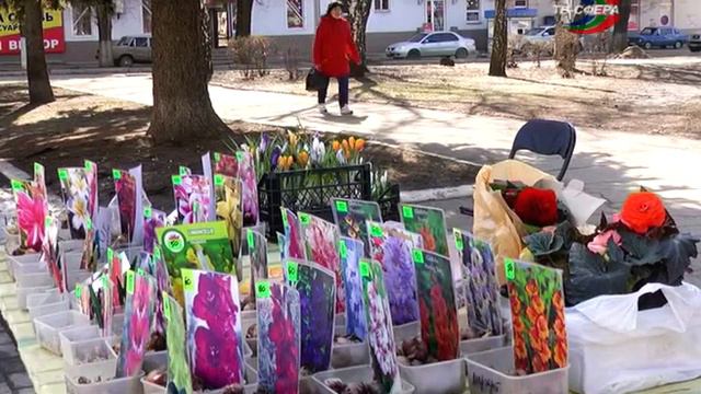 Изучаем цены на ярмарке смотреть онлайн