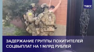 Задержание группы похитителей соцвыплат на 1 млрд рублей