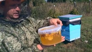 кормлю пчёл. даю медовую сыту в вёдрах.