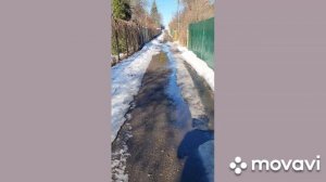 Четвертый дачный день.