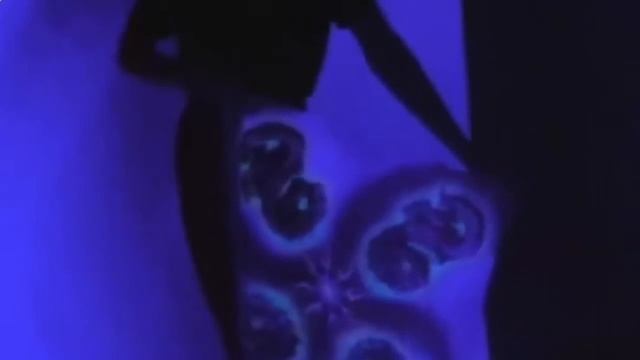 Одежда для ночной дискотеки смотреть онлайн