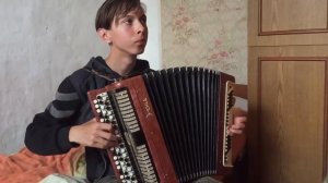 За тебя родина мать ( кавер на баяне)