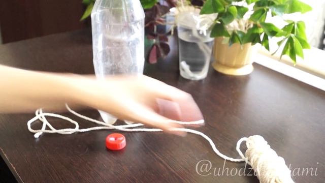 Автополив растений в отпуске. Альтернатива фитилю.