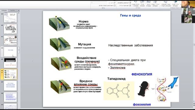 Генетическая история человечества