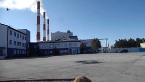 Беловская ГРЭС  2018 г. Нашли "волчью" ягоду?