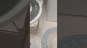 BOSCH Classixx 5 замена ручки люка в стиральной машине Не открывается и не закрывается люк.