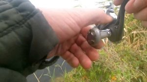 Крупная красноперка и плотва на импровизированный попла попер!