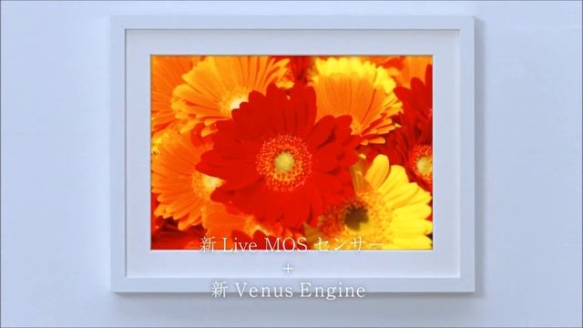 Panasonic LUMIX GF5「はじめての、ミラーレス一眼。」 綾瀬はるか смотреть онлайн