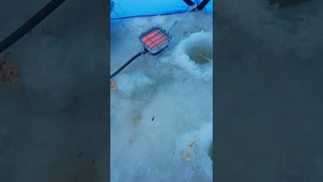 Оз. Чаны, мыс Козий смотреть онлайн