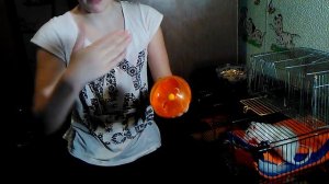 Что нужно для приобретения крысы 1