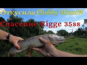 Щука на 0.2 без поводка! Rigge 35 ( мат). Откусила Chubbi minnow 35.