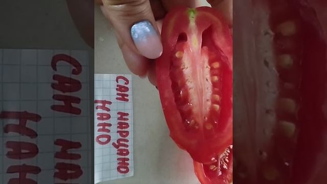 Обзоры сортов : Нижегородский кудяблик , Сияющая красота , Сан марцано нано , Оранжевый русский . смотреть онлайн