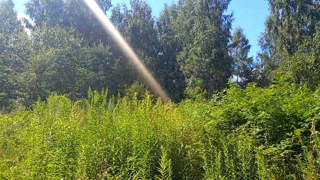 ЛЕТО! ЦНЯНКА! ШИКАРНЫЙ РЕЛАКС ЧАСТЬ 2! SUMMER! TSNYANKA! -CHIC RELAXATION PART 2! смотреть онлайн