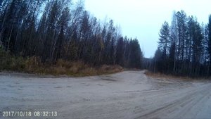 Охота на зайца с Русской пегой гончей,Карелия.