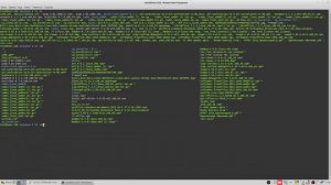 Команда LS. Терминал Linux. Alt linux.