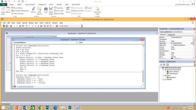 Excel VBA   40 Second Create Reset Button on UserForm