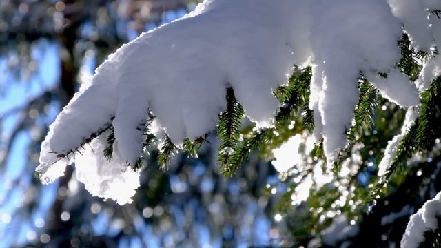 16 Января Народный праздник Малахов День, Гордеев День. Народные приметы, обряды и запреты. смотреть онлайн