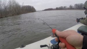 Судачок на раттлин от TsuYoki