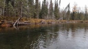 10дней в глухой тайге Рыбалка в Коми на Хариуса