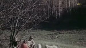 Василий Жуковский - Певец во стане русских воинов (2)