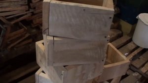 Самый простой улей для детей и любителей - японец.