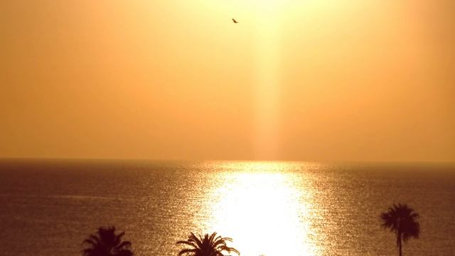 Tunis 2022