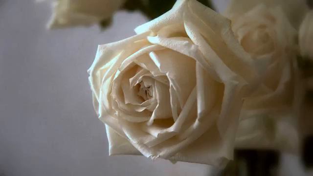 Самая лучшая русская песня про любовь онлайн смотреть онлайн