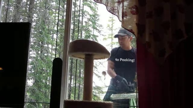 Мойщики окон в килтах. 2 смотреть онлайн