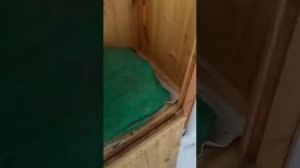 Углекислая зимовка пчёл (часть 2)