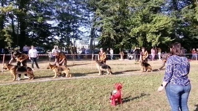 Лучший питомник - моно Краснодар 2022