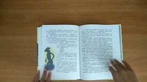 Обзор книги Удивительные приключения мальчика без тени и тени без мальчика