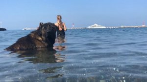 Персонажи утреннего пляжа. Сочи.Пляж Маяк. The characters of the morning beach. Sochi.Mayak beach.