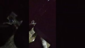 Хочу мотобуксировщик.....запуск нового lifan 9лс